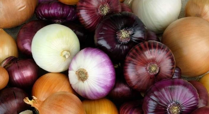 can rabbits eat onions