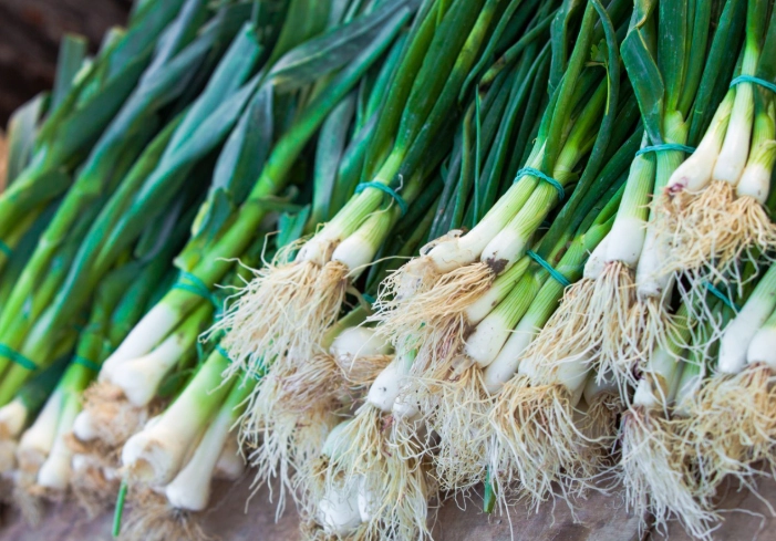 rabbit safe vegetables