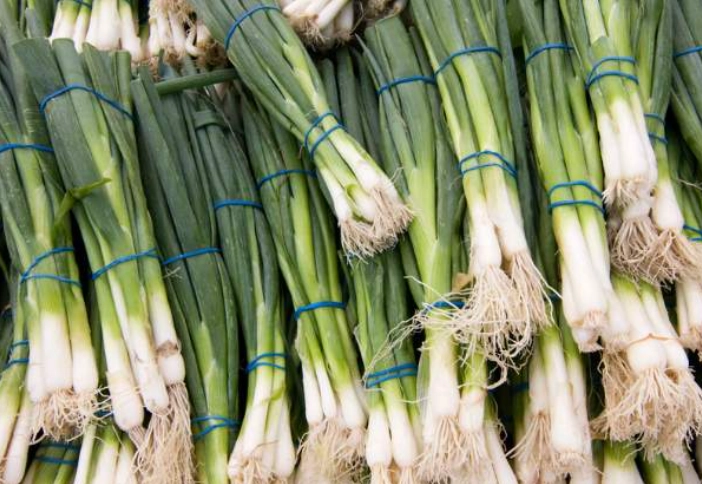 toxic foods for rabbits