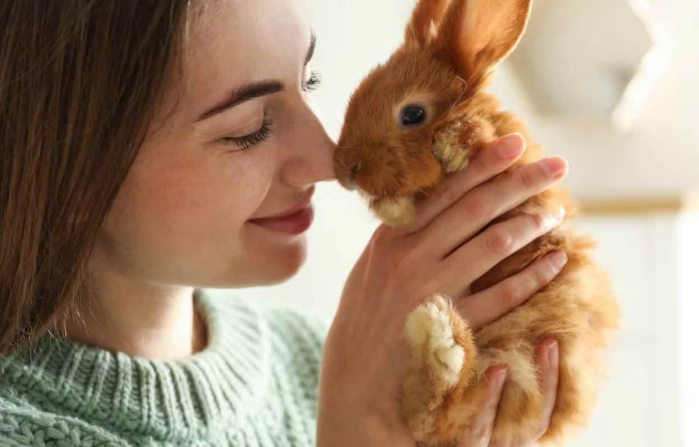 uses of rabbits