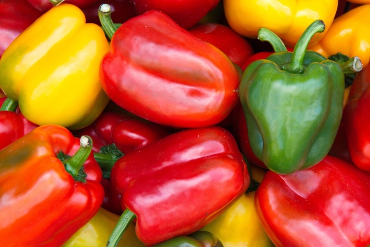 what can rabbits eat