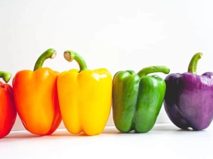 what can rabbits eat