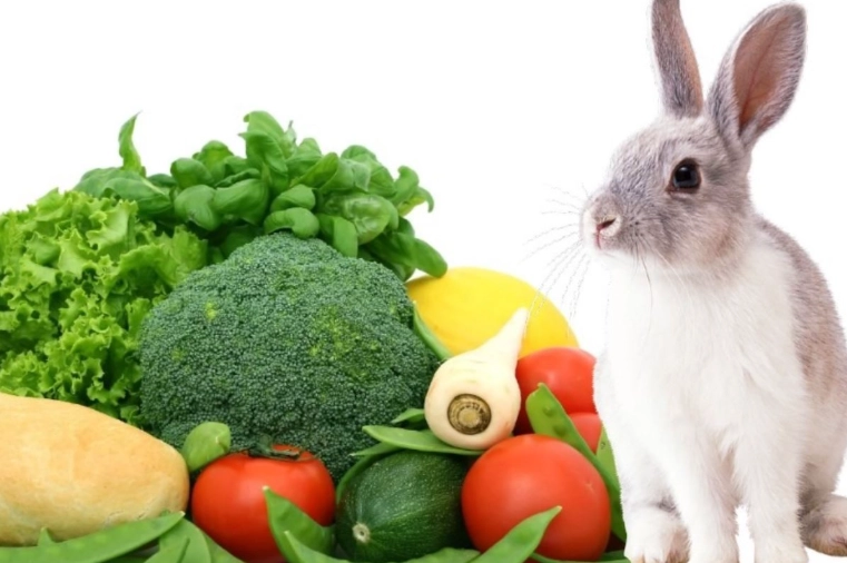 what veggies do rabbits eat
