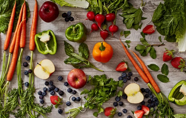 feeding vegetables to rabbits