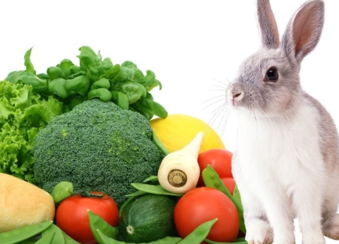 what vegetables should rabbits eat