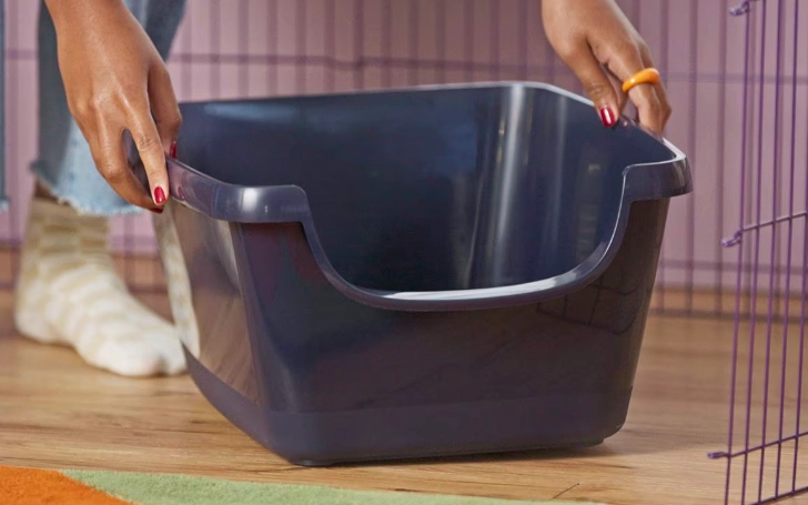 how to litter train a rabbit how to litter train a rabbit