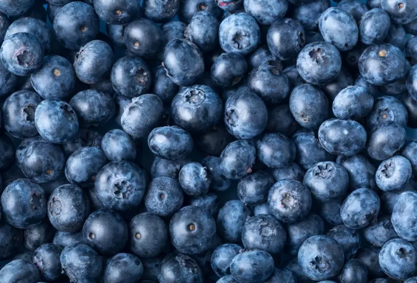 safe fruits for rabbits safe fruits for rabbits