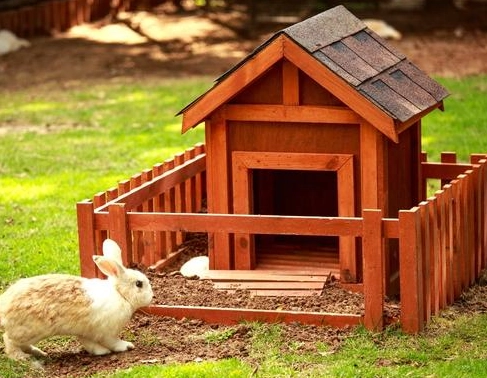 wild rabbit winter shelter wild rabbit winter shelter