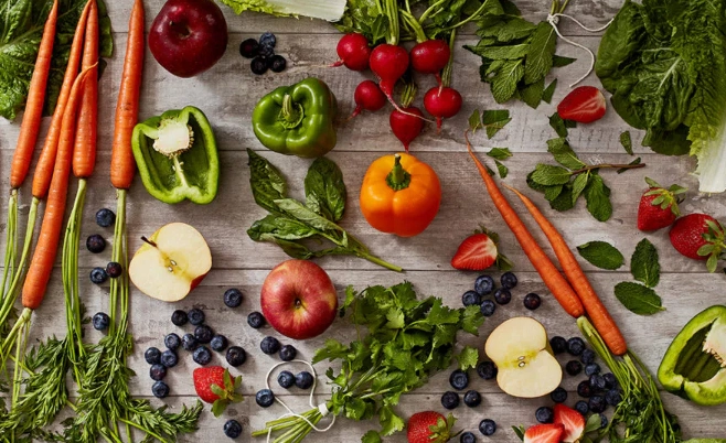 wild rabbit diet wild rabbit diet