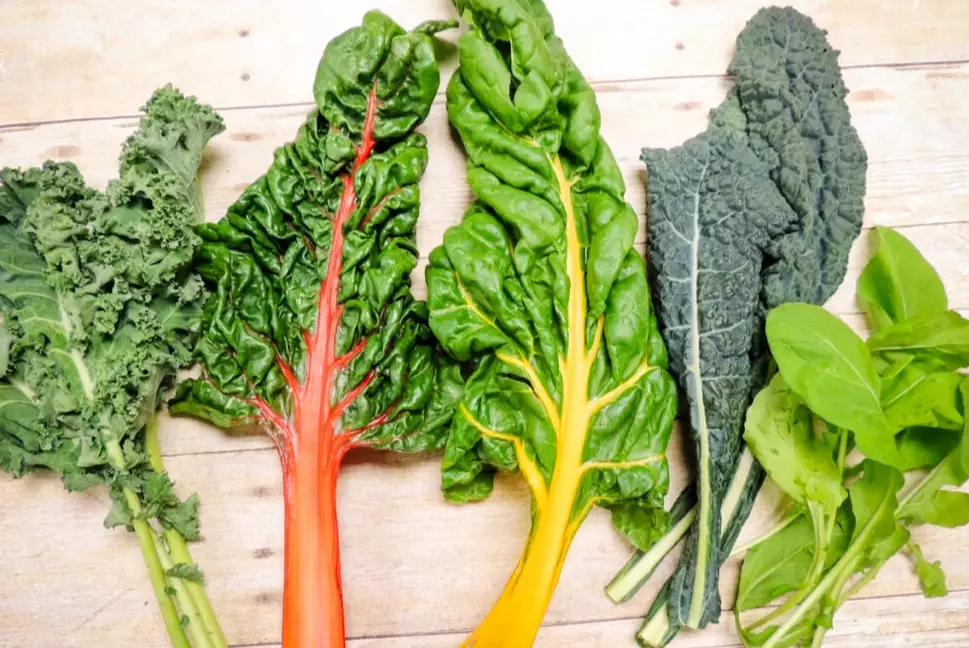 safe vegetables for baby rabbits safe vegetables for baby rabbits