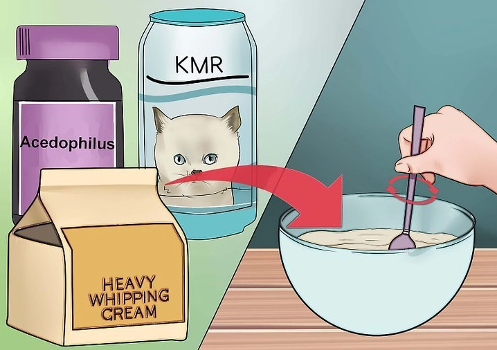 kitten milk replacer for rabbits