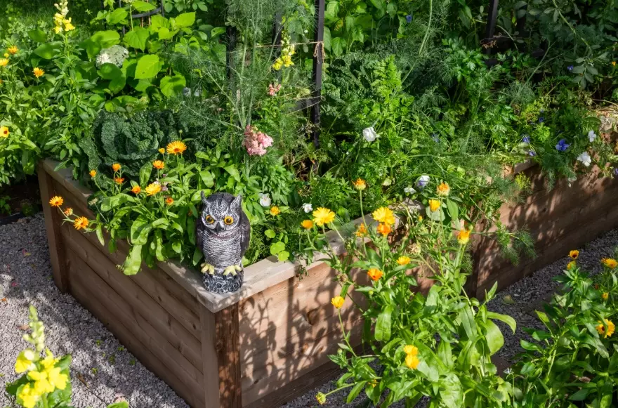 garden fencing for rabbits