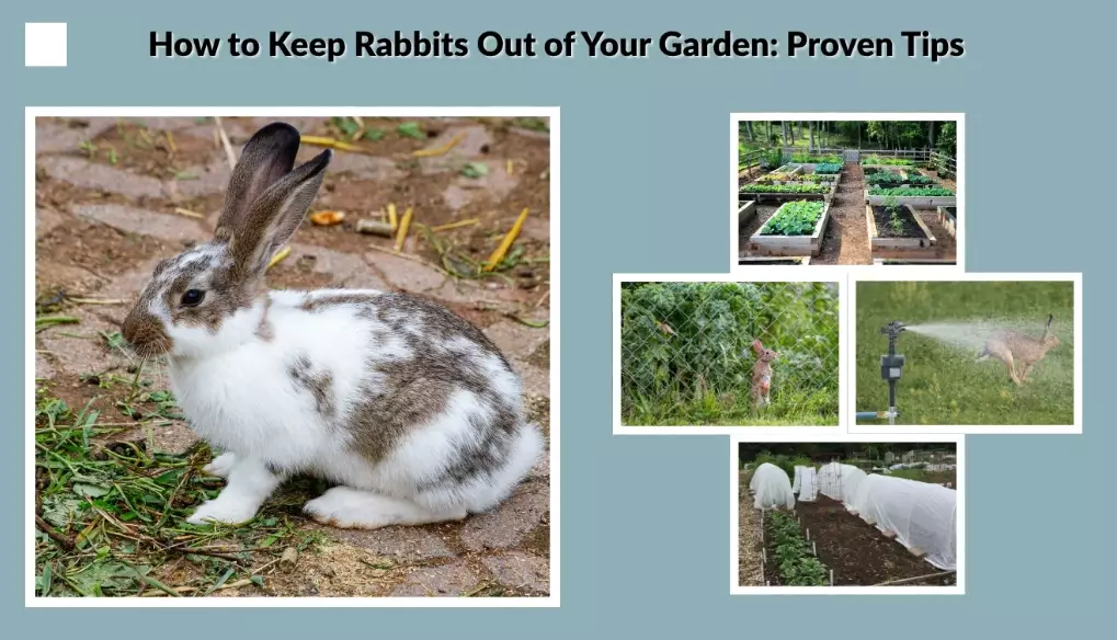 how to stop rabbits from eating plants
