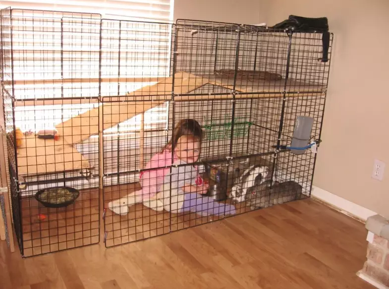 rabbit cage size guide