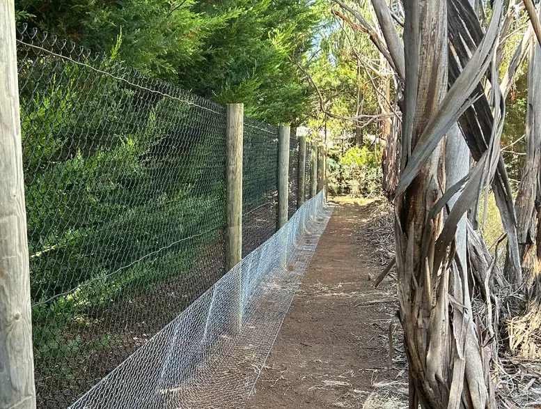 how to stop rabbits digging