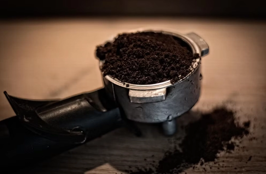 are rabbits afraid of coffee