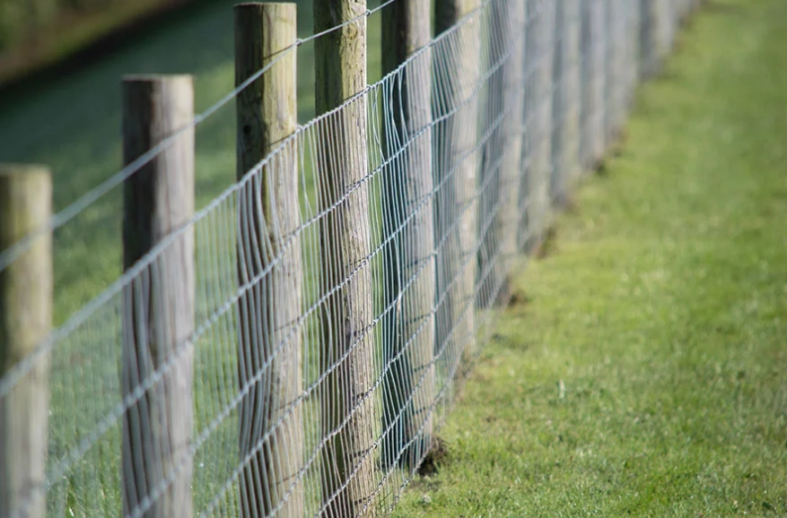 outdoor rabbit enclosure