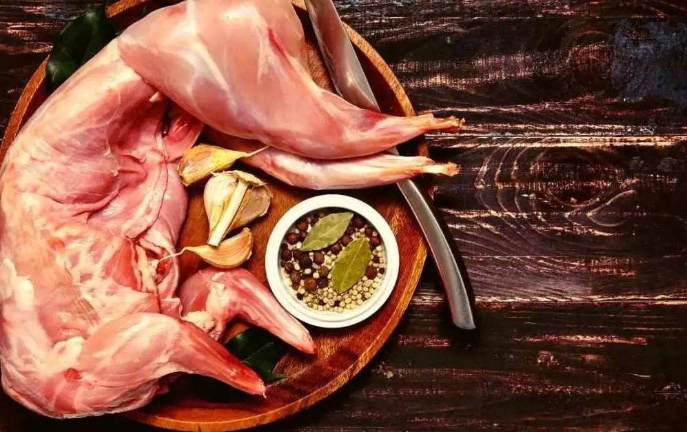 rabbit meat taste