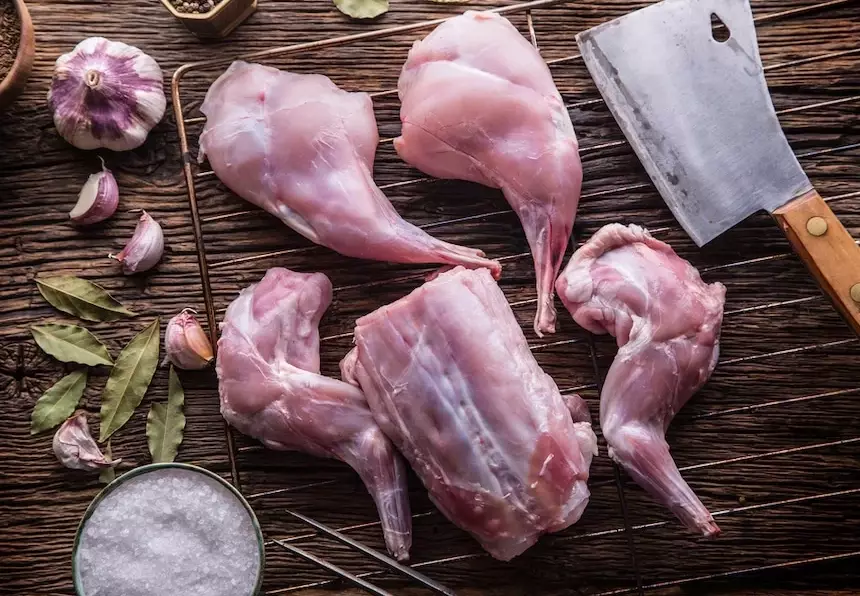 rabbit meat recipes