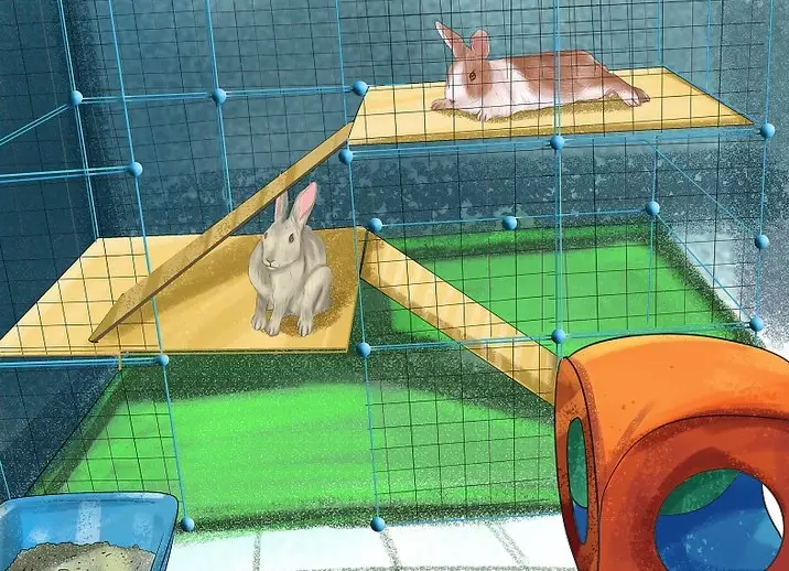 best bedding for rabbits