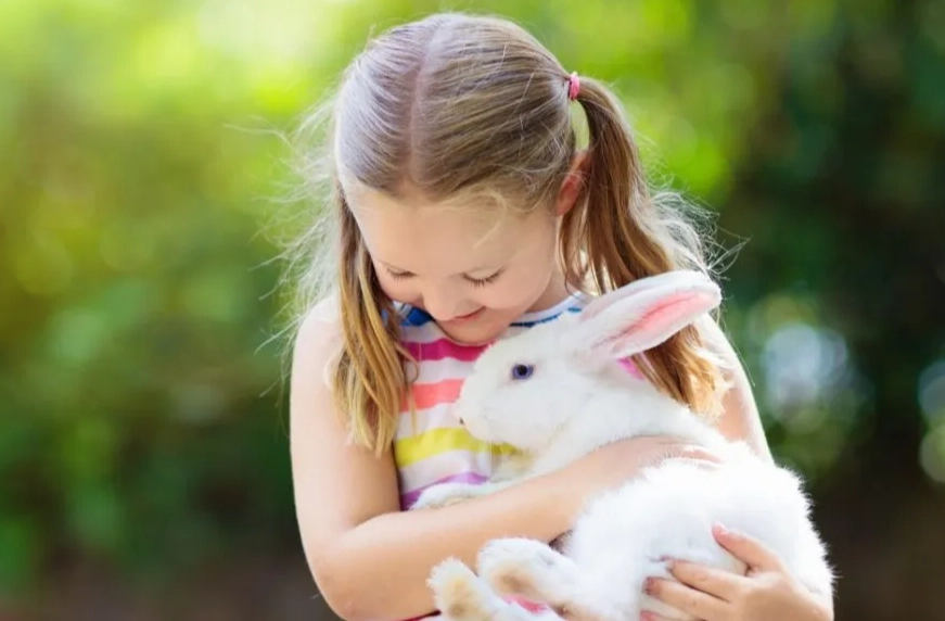 kids and rabbits