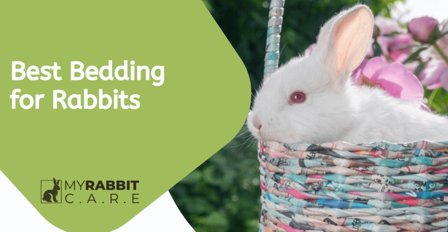 rabbit bedding dangers