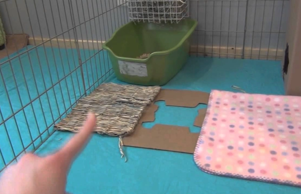 What is the best thing to put on the bottom of a rabbit cage?