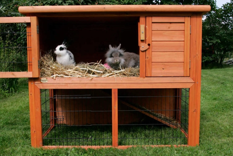 rabbit cage bedding