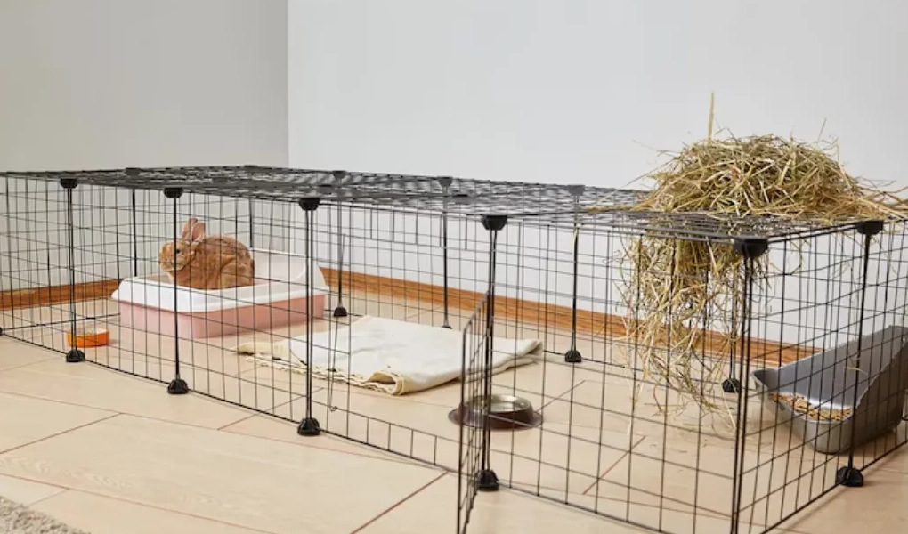 rabbit litter box setup