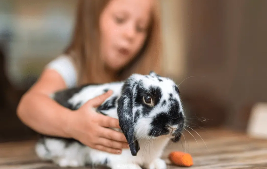 Rabbits as pets for kids