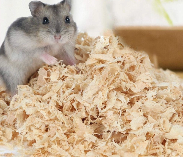 rabbit bedding wood shavings safe rabbit bedding wood shavings safe