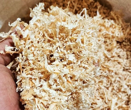 aspen vs pine shavings rabbits aspen vs pine shavings rabbits