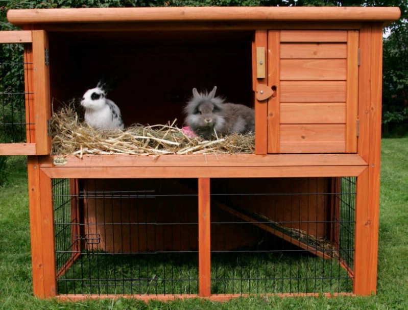 outdoor rabbit bedding outdoor rabbit bedding